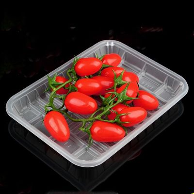 HLD-470 PP plastik fast food tepsisi konteyner makineleri Tedarikçi
